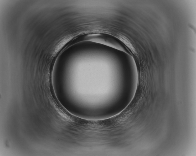 X0000097860389200803141243