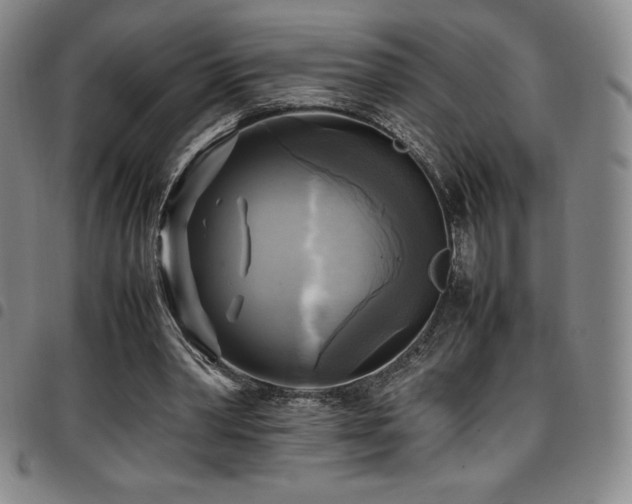 X0000097860390200803141243