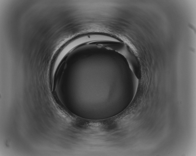 X0000097860391200803141243