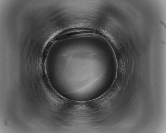 X0000097860392200803141243