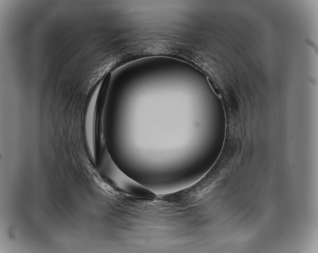 X0000097860393200803141243