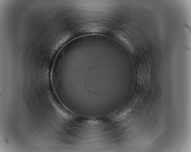 X0000097860394200803141243