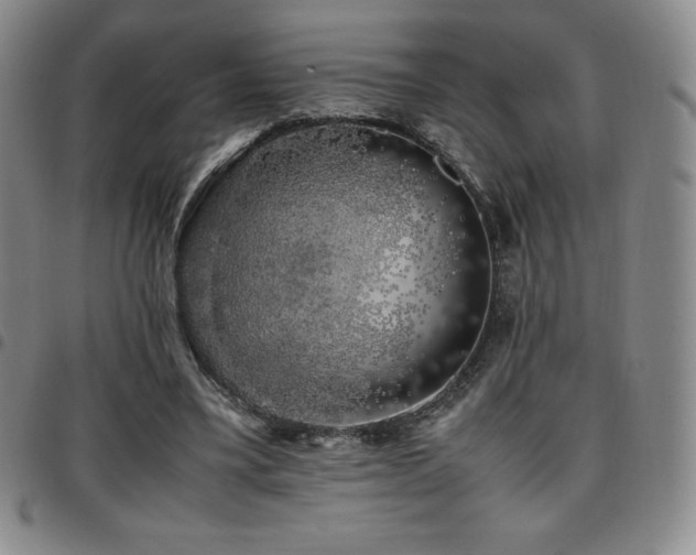 X0000097860395200803141243