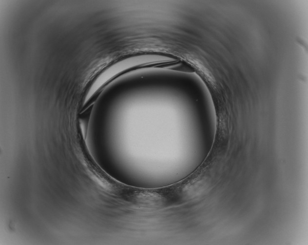 X0000097860397200803141243