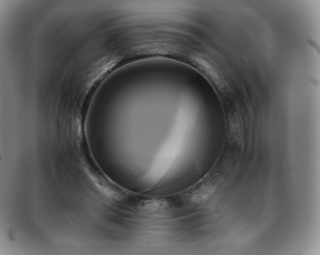 X0000097860398200803141243