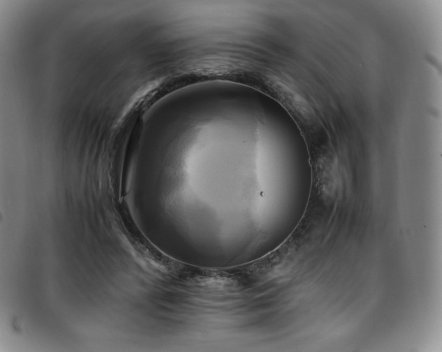 X0000097860400200803141243