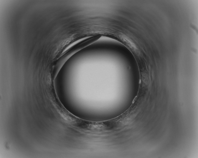 X0000097860401200803141243