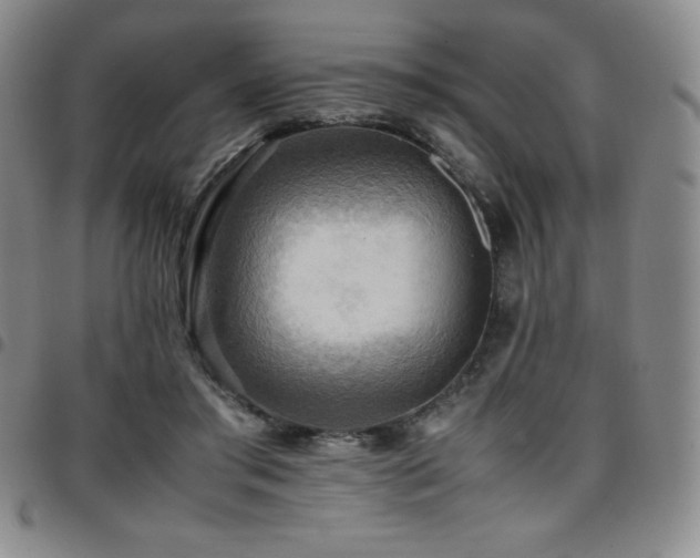 X0000097860405200803141243