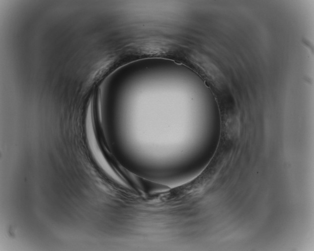 X0000097860407200803141243