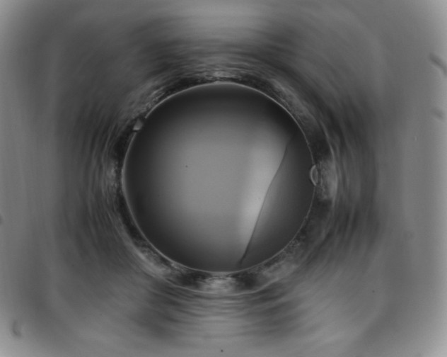 X0000097860410200803141243