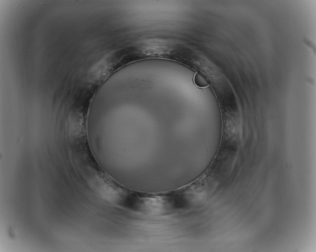 X0000097860411200803141243