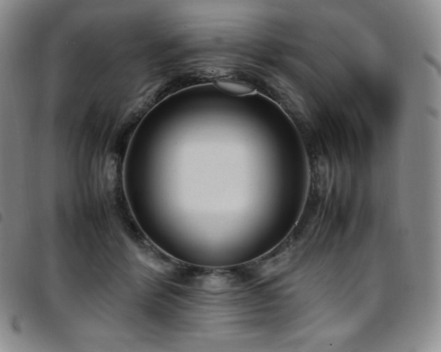 X0000097860412200803141243