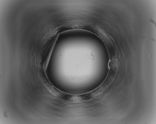 X0000097860413200803141243