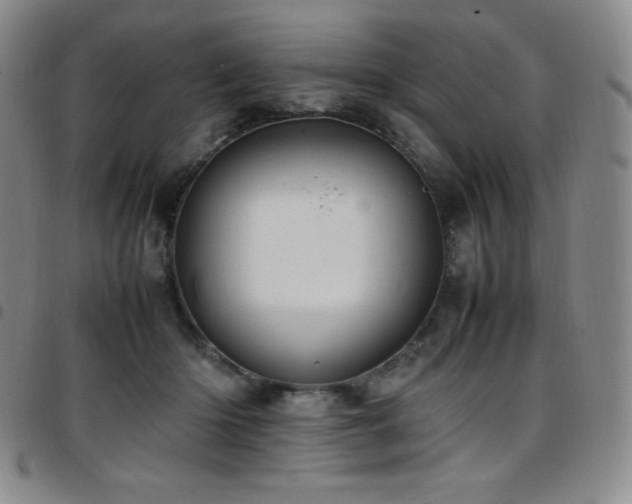 X0000097860414200803141243