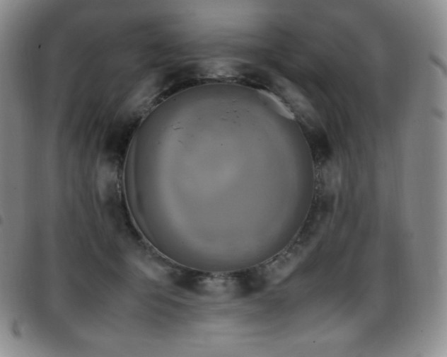 X0000097860415200803141242