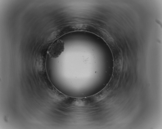 X0000097860416200803141242