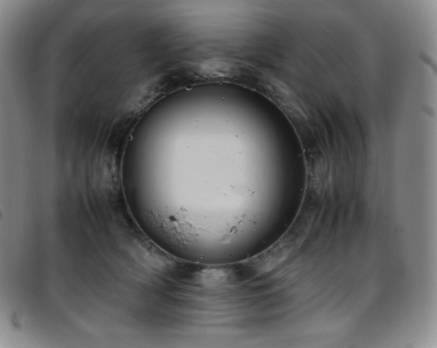 X0000097860418200803141242