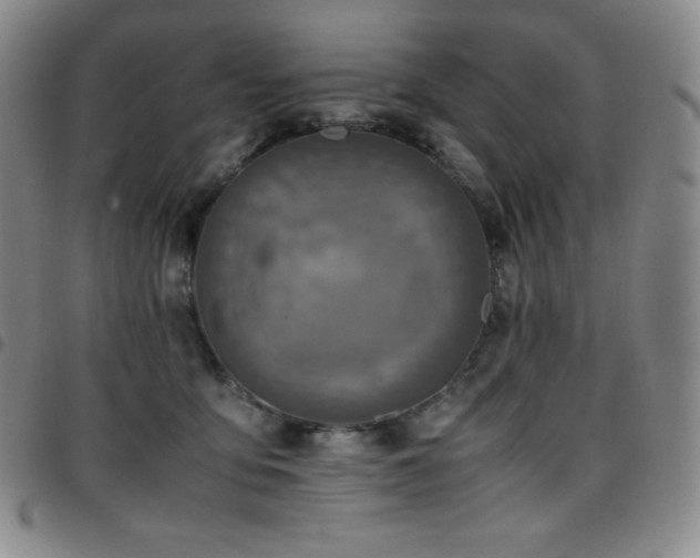 X0000097860419200803141242