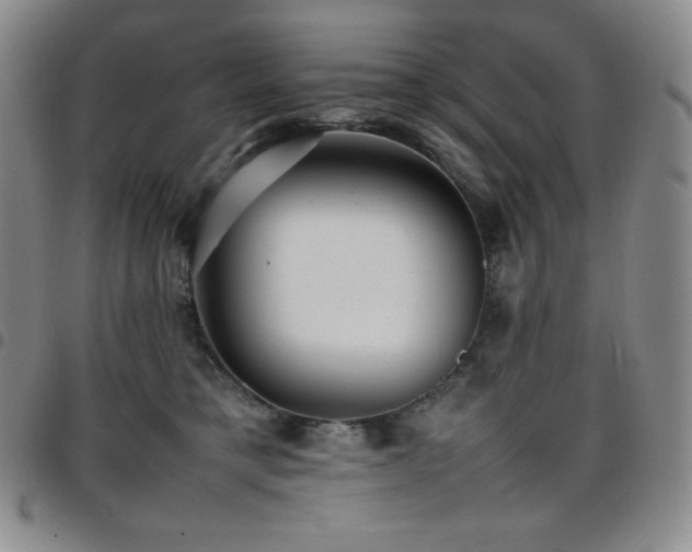 X0000097860421200803141242