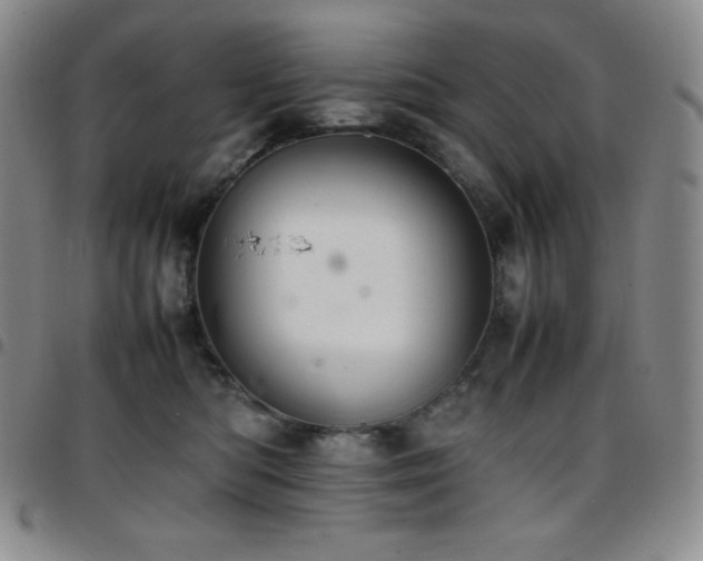 X0000097860422200803141242