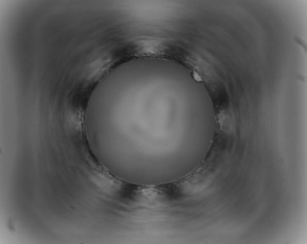 X0000097860423200803141242