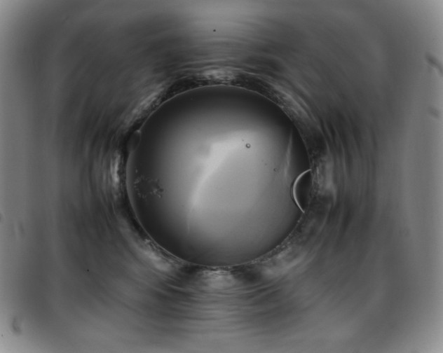 X0000097860424200803141242