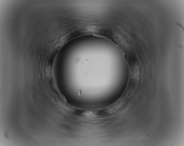 X0000097860425200803141242