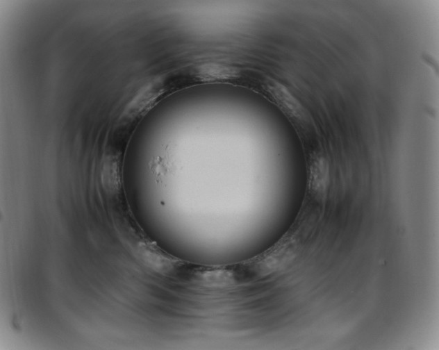 X0000097860426200803141242