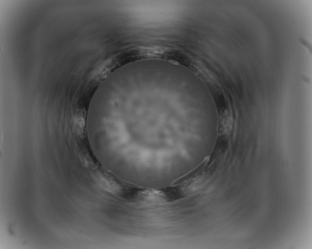 X0000097860427200803141242