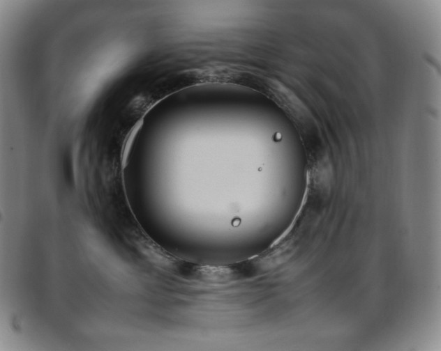 X0000097860429200803141242