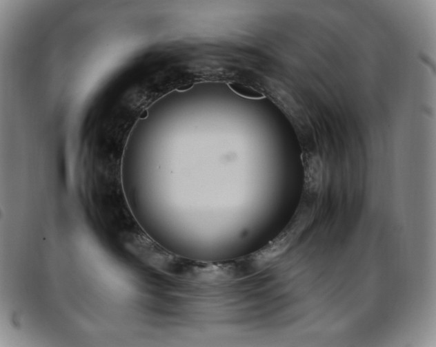 X0000097860430200803141242