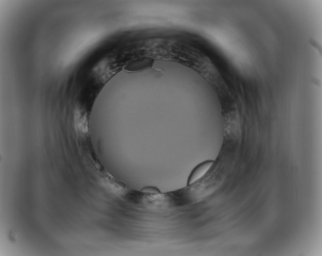 X0000097860431200803141242