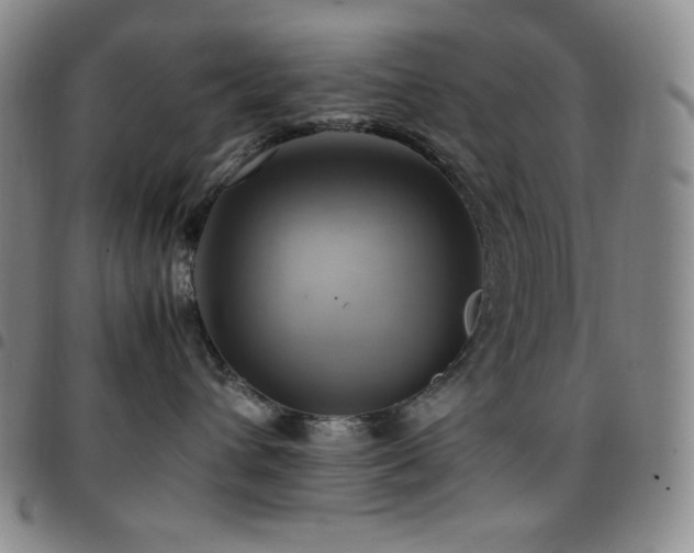 X0000097860432200803141242