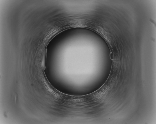 X0000097860433200803141242