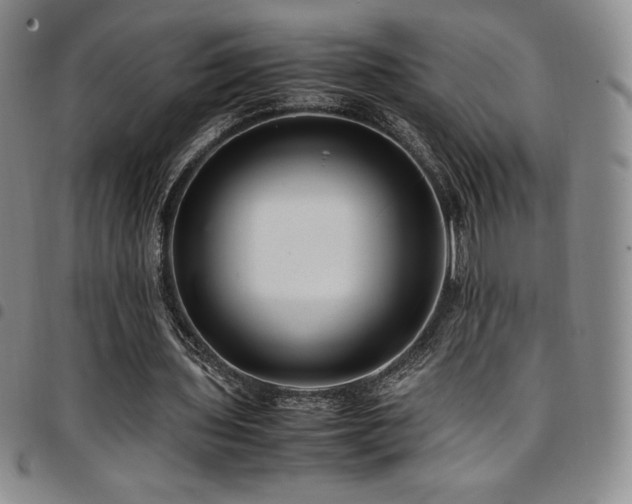 X0000097860435200803141242