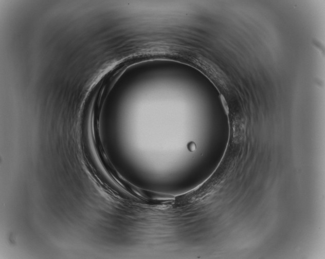 X0000097860436200803141242