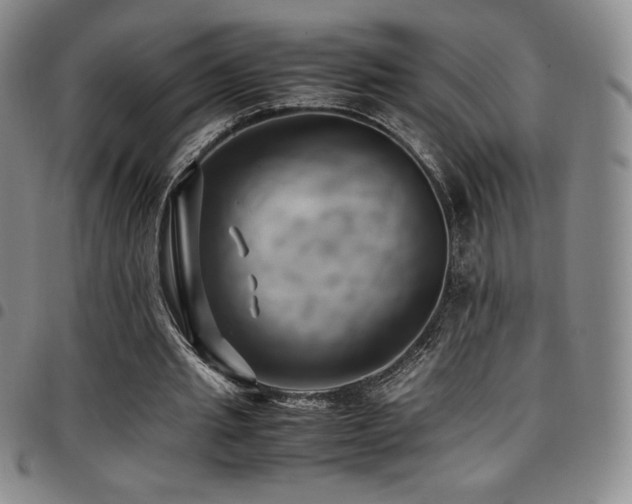 X0000097860437200803141242