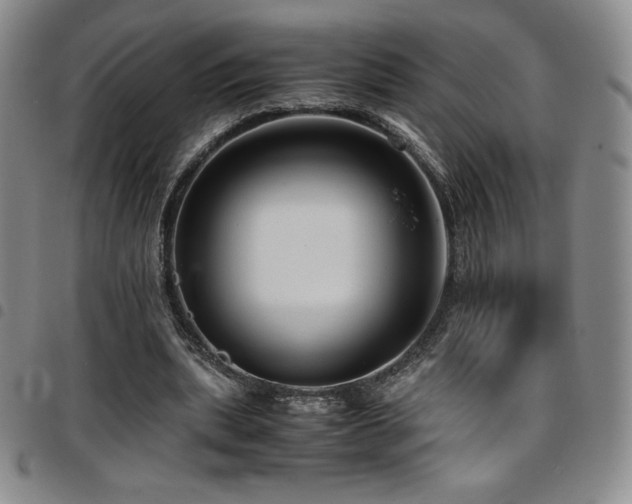 X0000097860439200803141242