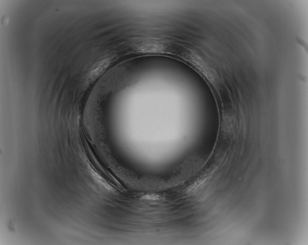 X0000097860441200803141242