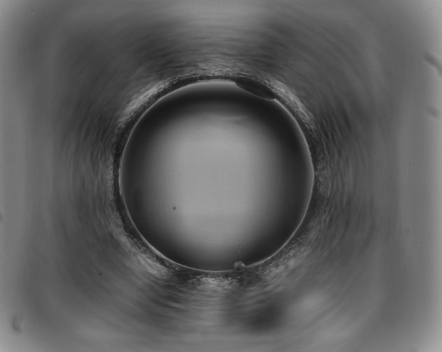 X0000097860442200803141242