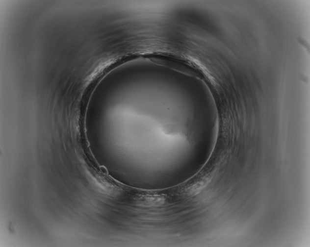 X0000097860443200803141242