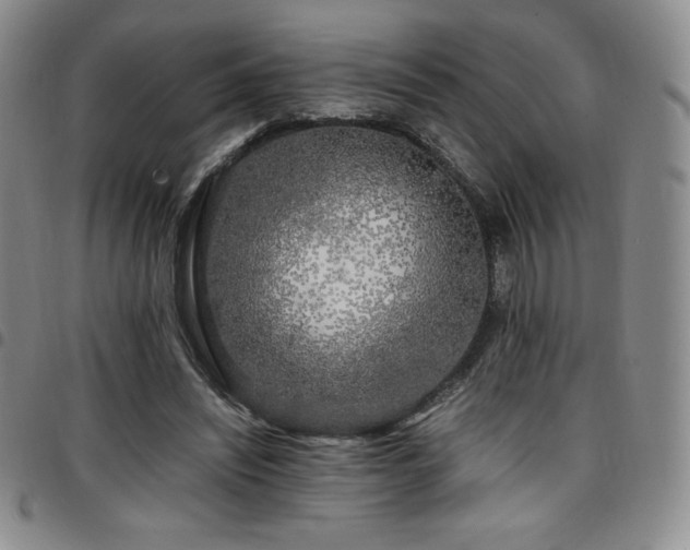 X0000097860444200803141242