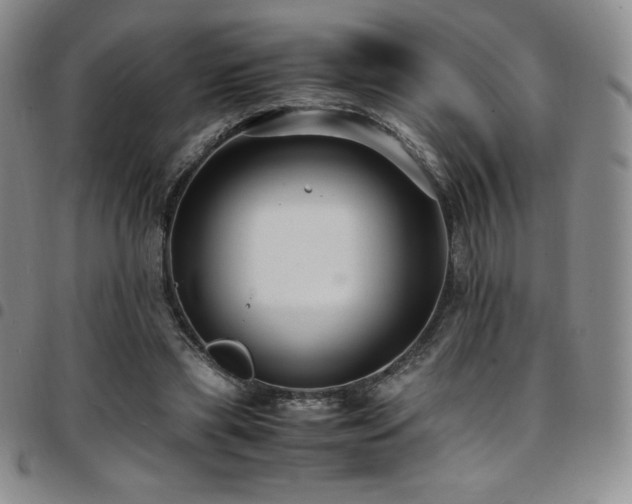 X0000097860445200803141242