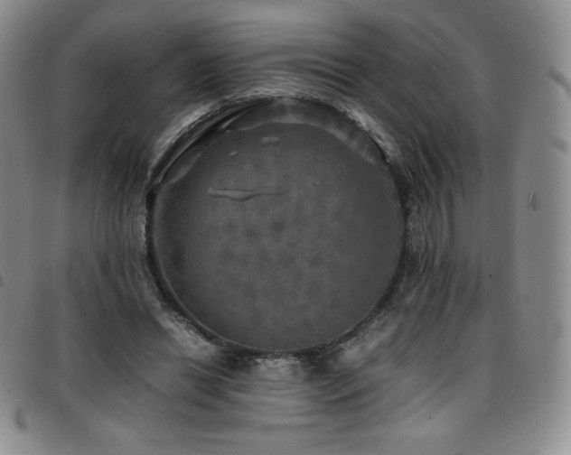 X0000097860446200803141242