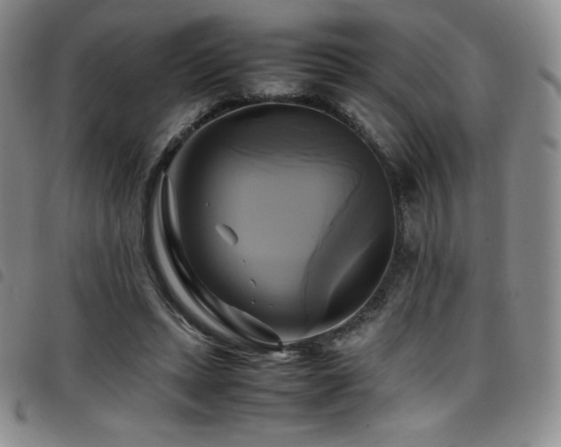 X0000097860447200803141242