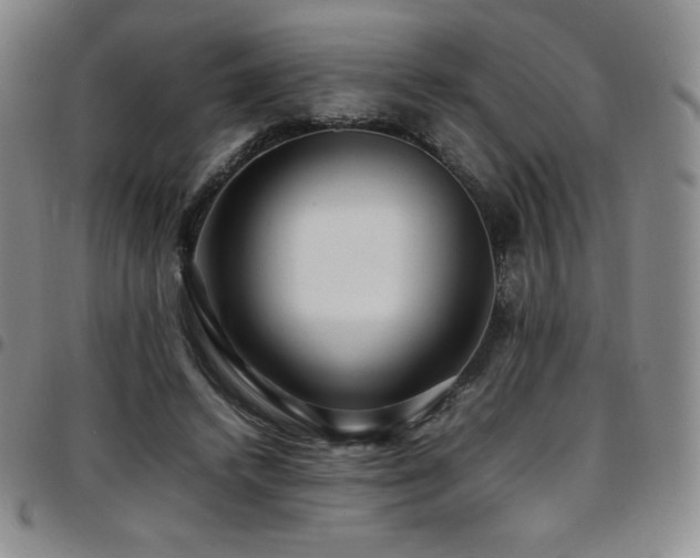 X0000097860448200803141242