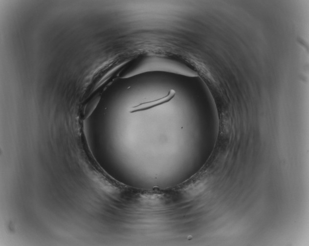 X0000097860450200803141242