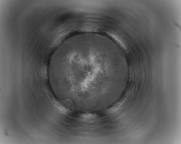 X0000097860453200803141242