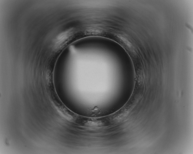 X0000097860455200803141242