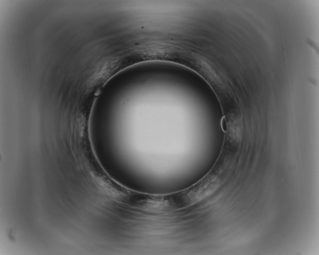 X0000097860458200803141242